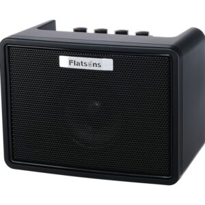 FGA-3 Гитарный комбоусилитель, 3Вт, Flatsons