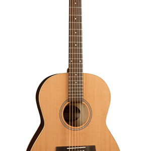 032549 Coastline Folk Cedar Акустическая гитара, Seagull