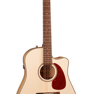 032464 Performer CW HG QIT Электро-акустическая гитара, с чехлом, Seagull