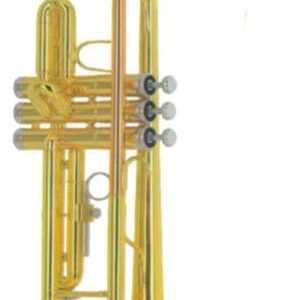 FLT-TR-3B Труба Conductor
