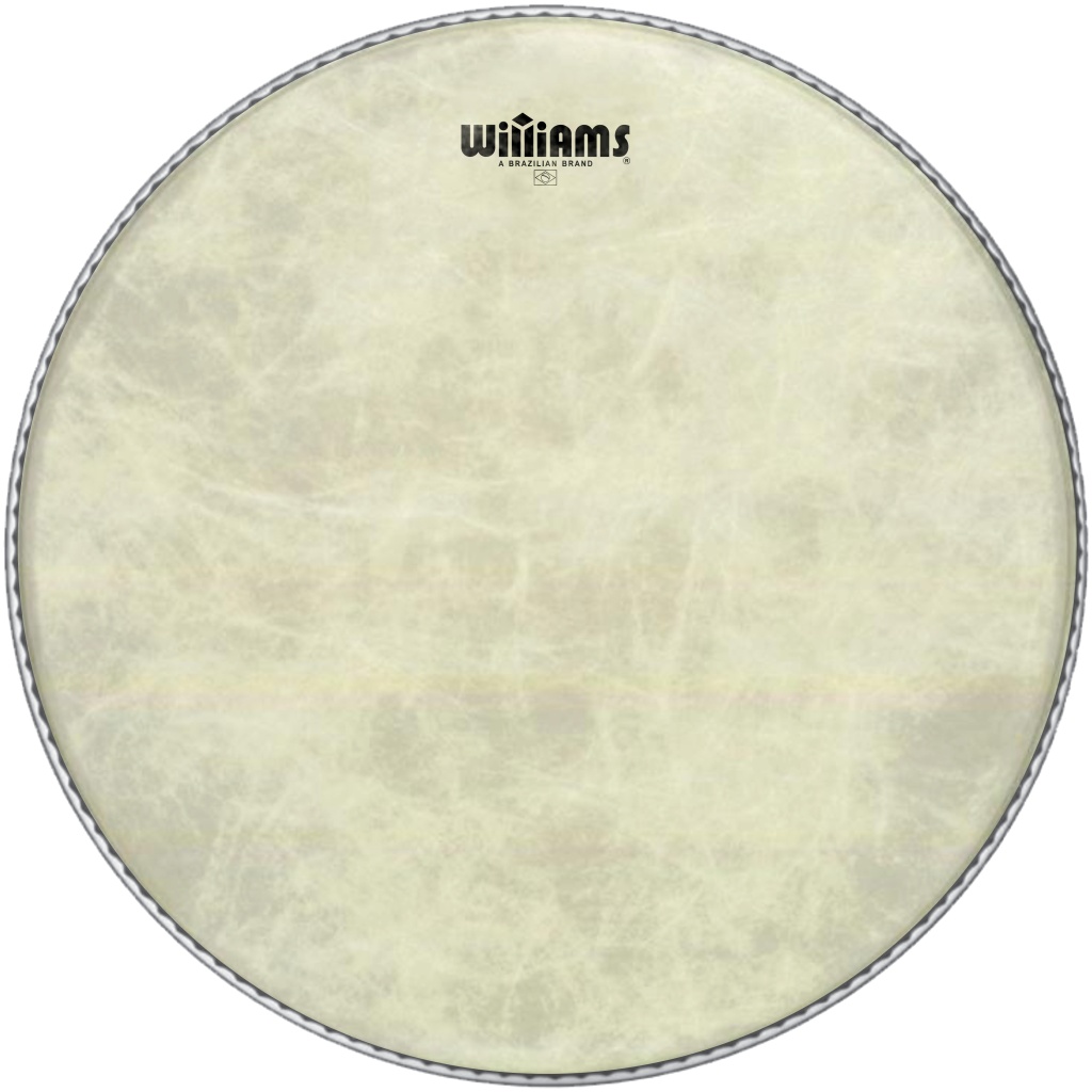 WVT1-11MIL-14 Vintage Tone Series Пластик для малого и том-барабана 14", Williams