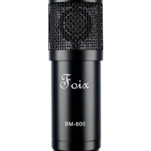 BM800 Микрофон, Foix