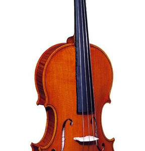 3370 Концертная скрипка 4/4 Strunal