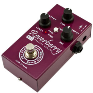 RY-1 Reverberry Цифровой ревербератор RY-1, AMT Electronics
