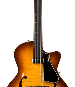035700 5th Avenue Jazz Sunburst HG Электрогитара арктоп, с чехлом, Godin