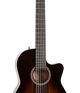 042630 Arena Pro CW Bourbon Burst Crescent II Классическая гитара, со звукоснимателем, La Patrie